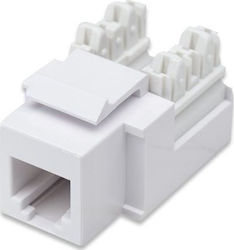 Intellinet Keystone 1τμχ