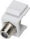 A-LAN Keystone 1pcs