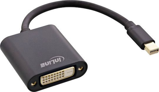 InLine DisplayPort mini DisplayPort DVI-D Male to DisplayPort mini DisplayPort DVI-D Female 1 Piece 17194S