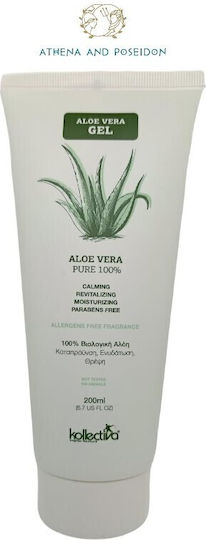 aloe vera günstig Aleo Getränk Aloe Vera Stückchen & Erdbeere 500ml inkl. 0,25€ Einwegpfand  günstig online kaufen main image 1