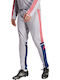 Squadra Pantaloni de trening Lucios Gri