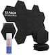 Audiodesigner Pet Hexagon Audio Treatment Panel (1 Piece)