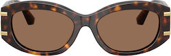 Dolce & Gabbana Sunglasses Brown with Acetate Frame & Brown Lens
