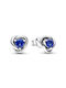Pandora Stud Earrings Made of Silver with Stones