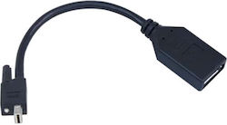Matrox DisplayPort / Mini-DisplayPort / VGA männlich zu DisplayPort / Mini-DisplayPort / VGA weiblich 1Stück
