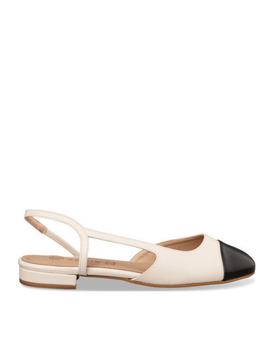 Envie Shoes