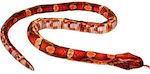 Carnival Accessory Orange