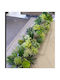 Tabletop Succulent Arrangement 0.80m