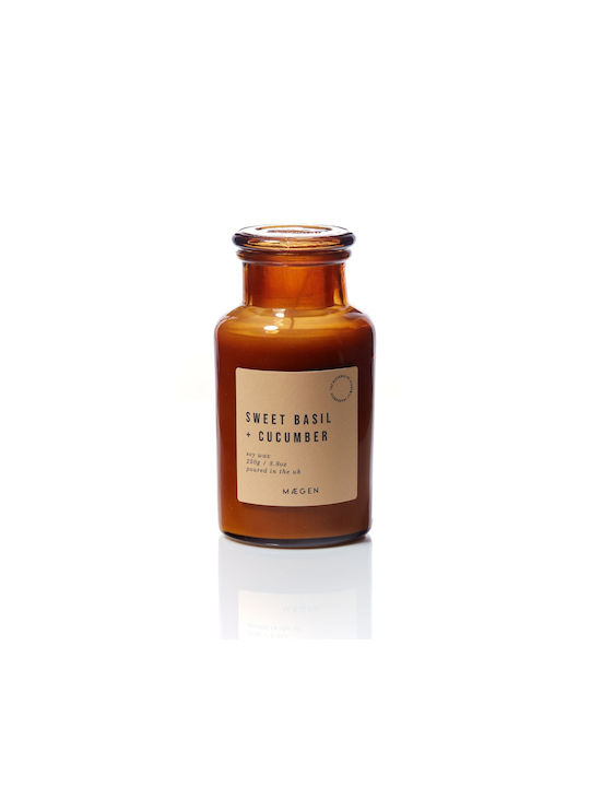 Sweet Basil & Cucumber Φυτικό Κερί 250gr Alchemist Maegen