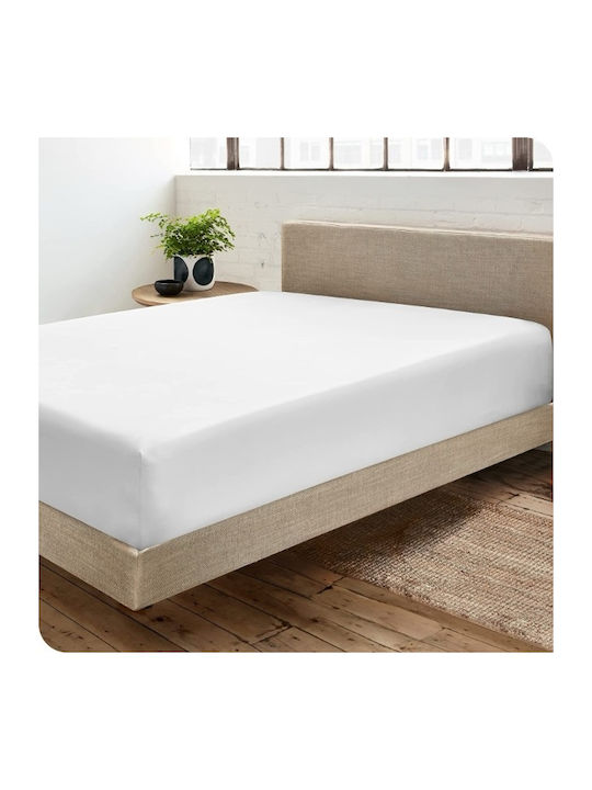 SpitiBazaar Sheet for Single Bed with Elastic 100x200+30cm. White