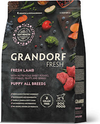 Grandorf Fresh Grandorf Fresh