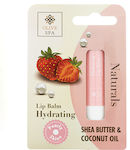 Olive Spa Lip Balm 4.5gr