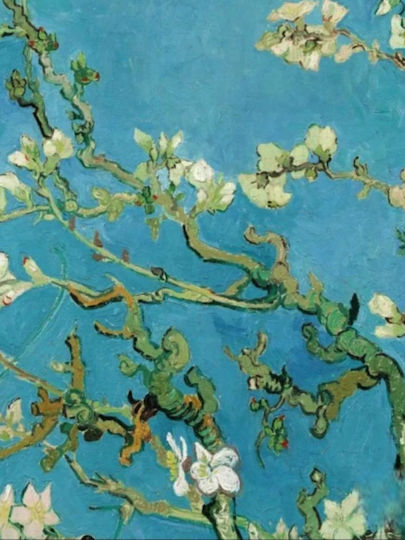 Van Gogh “ανθισμένη Αμυγδαλιά” Πίνακας Εκτύπωση Καμβά 60*80 Εκ Μόνο Καμβάς