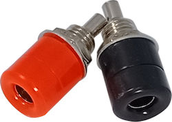 Xs-p018/b Μαύρη Μπόρνα