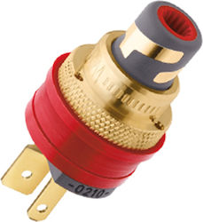 Wbt-0210 Cu Ms Red