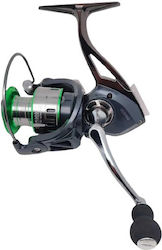 DW 7000