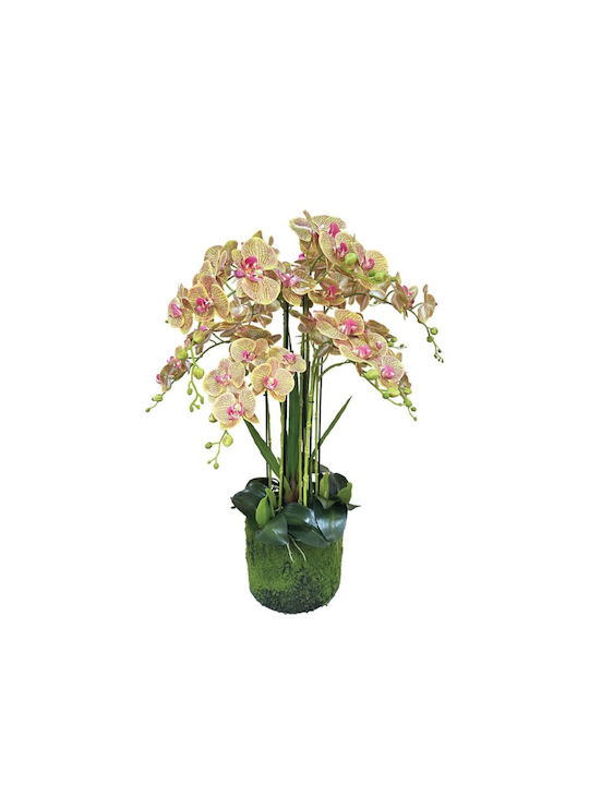 Echt wirkende dekorative knstliche Orchideenpflanze, hellgrne pinke Blten,  Moosbasis, 80 cm 04-94377-5 Marhome | Skroutz Germany