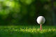 Gopher Golf-Tees S/6