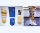Kifidis Orthopedics Medizinisches Trainingsmodell