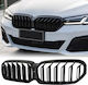 Dekorative Auto Maske BMW Serie 5 (G30) / G30