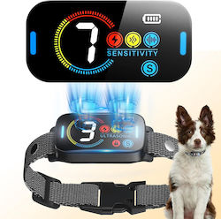 Elektrisches Hundetraining Halsband