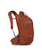 Osprey Raptor 10 V2 Ορειβατικό Σακίδιο 10lt Πορτοκαλί Daypack