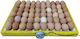 Multifunctional Yellow Egg Rack-Roller 60-64 Eggs Motor 220v Dimension 46x36x4 New Reinforced Side Wall