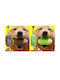 Hanging Dog Toothbrush Ανοιχτό Μπλε116*58mm