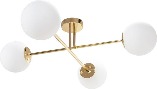App1248-4cp Gold Ceiling Light Fixture