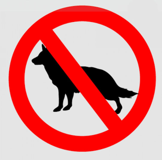 Plexiglass-Schild 'Keine Hunde erlaubt' 11,5 x 11,5 cm 0.165-pl25