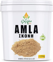 Elixirio Био Амла в Прах 250гр