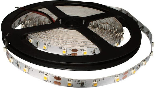 Redled Ταινία LED 12V Θερμό Λευκό Φως