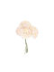 Beauty Home 6 хортензии 10см