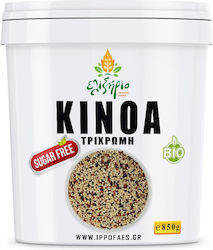 Tricolor Bio-Quinoa 850g