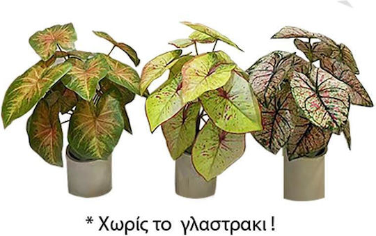 Сукулентно Растение В Саксия 35см (Различни Цветове) Zaros