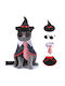 Pet Costume with Glasses | Back Length: 16cm