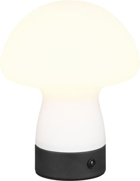Trio Lighting Стъклена Настолна лампа LED с Бял Абажур и Основа