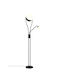 Trio Lighting Chris LED Floor Lamp with Warm White Light Black