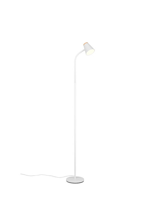 Trio Lighting LED Floor Lamp with Warm White Li...