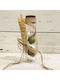 Wedding Favor Glass Tube with Wheat