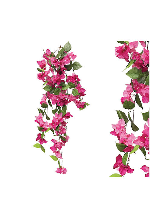 Marhome Hängende Bougainvillea Wurzel Fuchsia B...