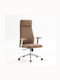 Woodwell Bf8800 Scaun De Birou De Director Cu Brațe Cappuccino