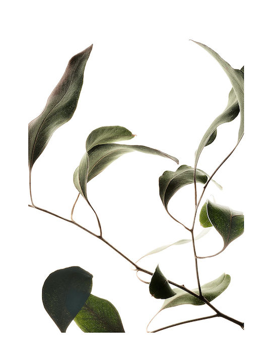 Πόστερ Διαφάνεια Floating Leaves 09 A2 Πράσινο 42x59.4cm Paper Collective
