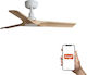 Faro Barcelona Heywood S TUYA Deckenventilator ...