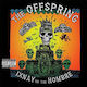Offspring Ixnay On Annivers 1 Vinyl