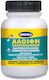 Mercola 01868 Πάστα Κόλλας Μετάλλων 125ml