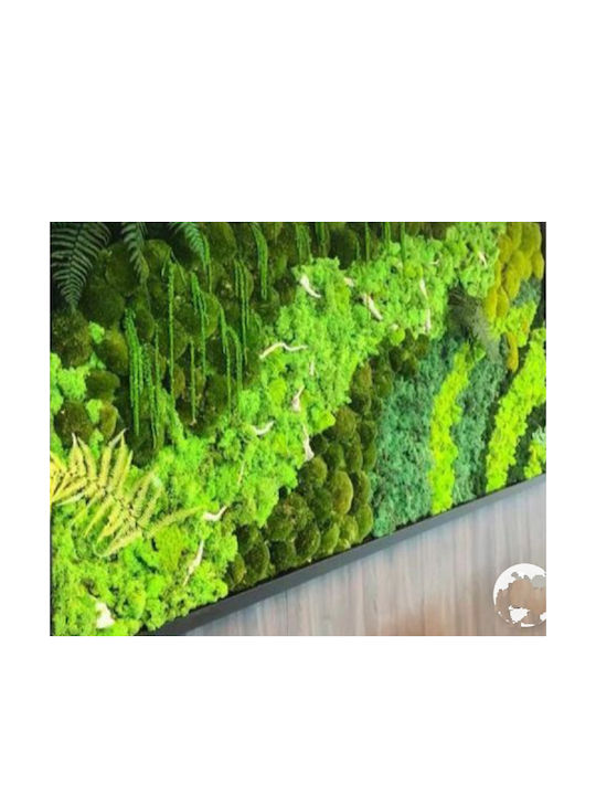 Decorative Moss Panel Natural Preserved Eternal 1.20 X 2m