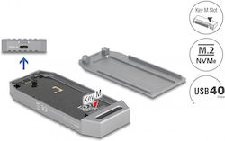 DeLock External Hard Drive Case M.2 SATA III NVME with connection USB 3.2 in Gray color