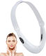 Electric Firming Light Therapy Face Mask LED 110608