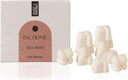 Dust+Cream Ceară Topită Lemn de santal 6gr
